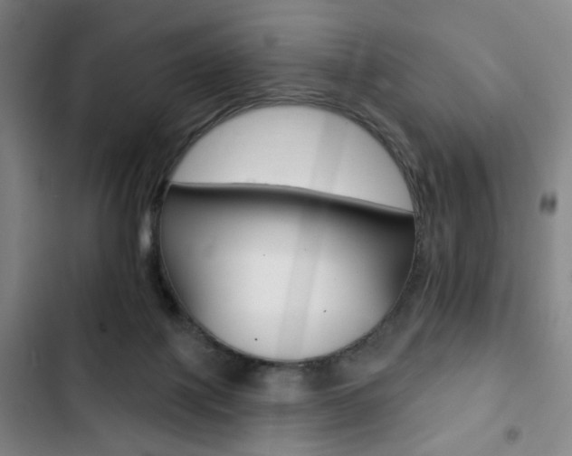 X0000103320075200809051008