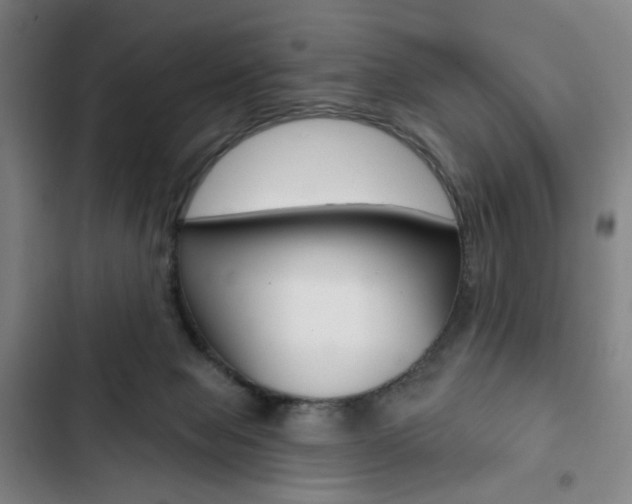 X0000103320077200809051009
