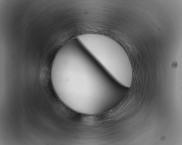 X0000103320079200809051009