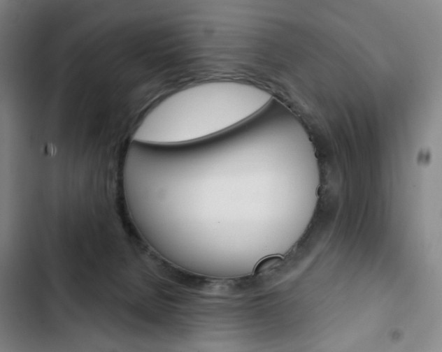 X0000103320080200809051009