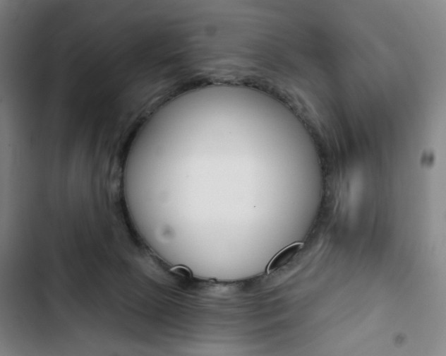 X0000103320081200809051009