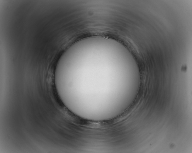 X0000103320083200809051009