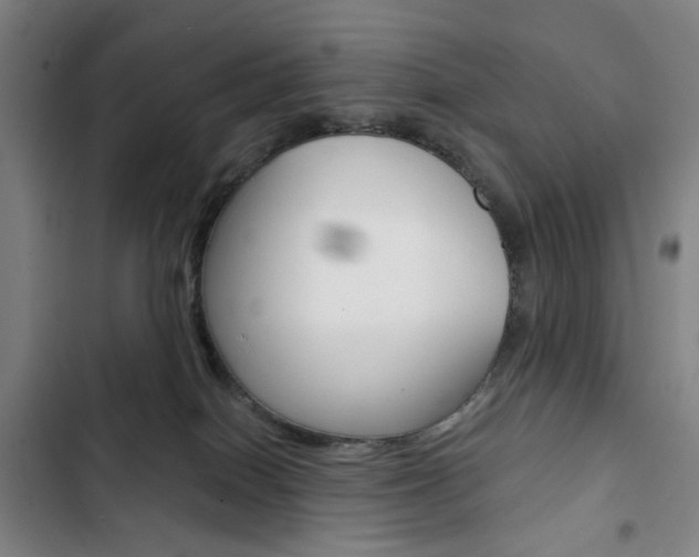 X0000103320086200809051009