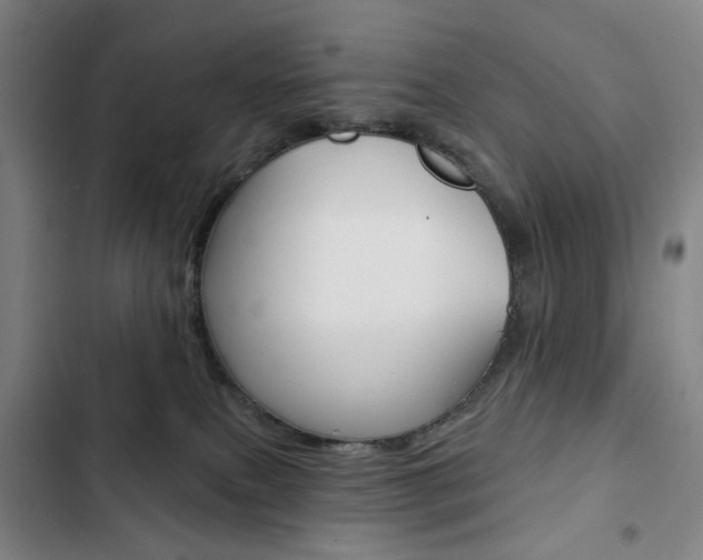 X0000103320087200809051009