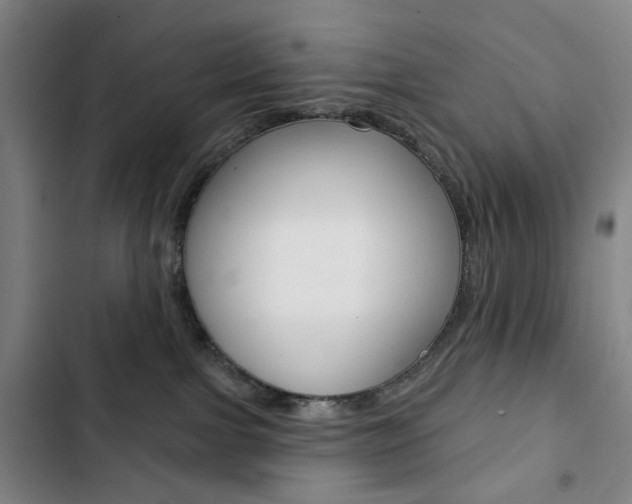 X0000103320091200809051009
