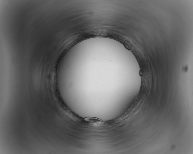 X0000103320092200809051009