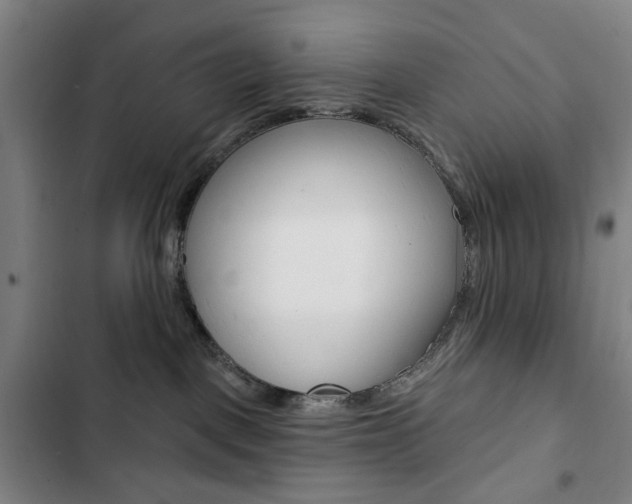 X0000103320093200809051009