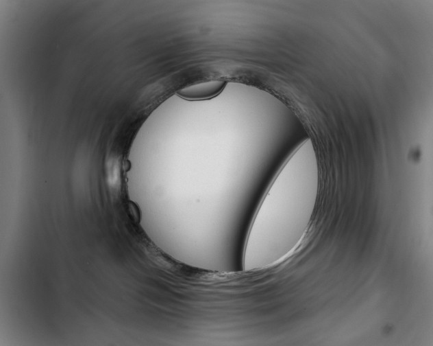 X0000103320094200809051009