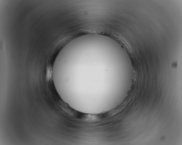 X0000103320095200809051009