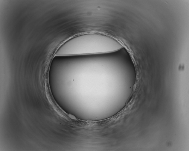 X0000103320097200809051008