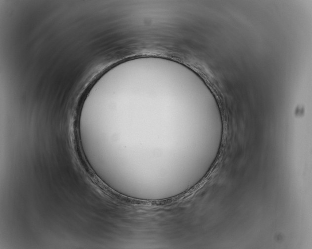 X0000103320098200809051008