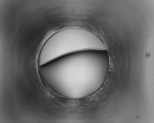 X0000103320099200809051008