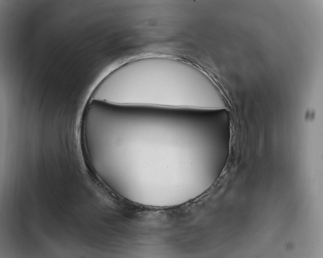 X0000103320100200809051008