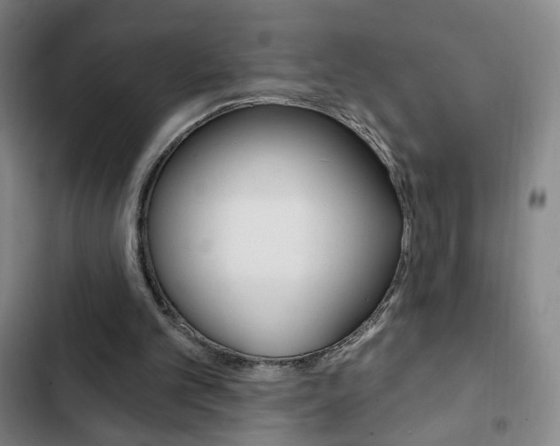 X0000103320101200809051008