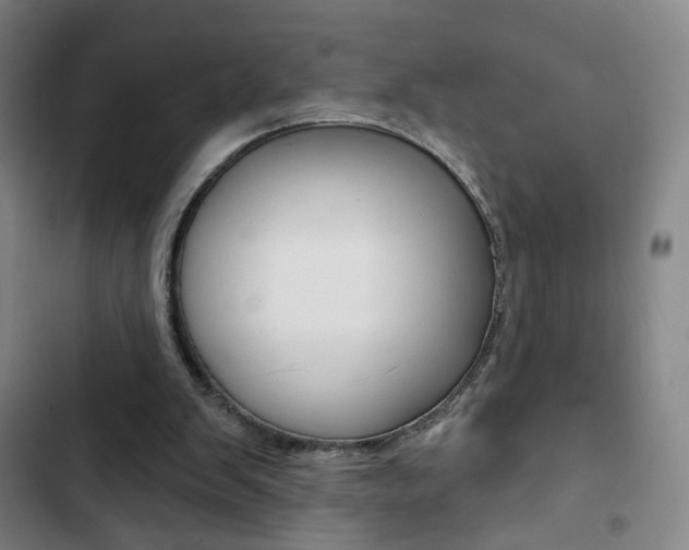 X0000103320103200809051008