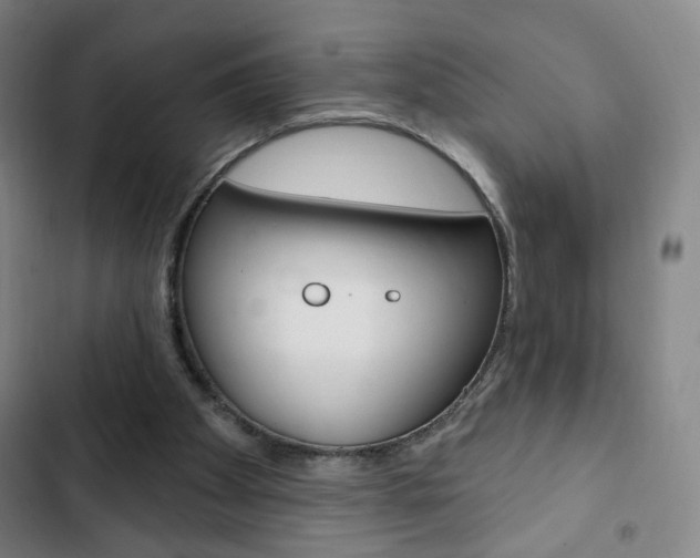 X0000103320105200809051008