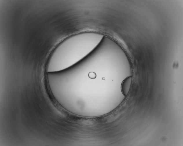 X0000103320106200809051008