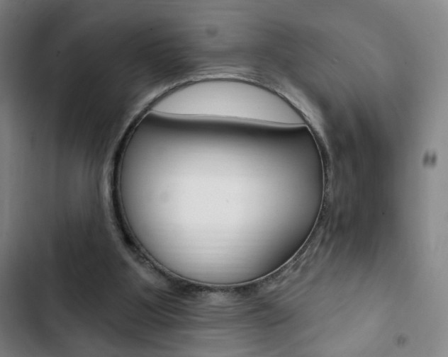 X0000103320107200809051008