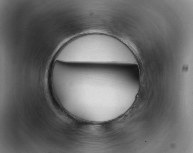 X0000103320108200809051008