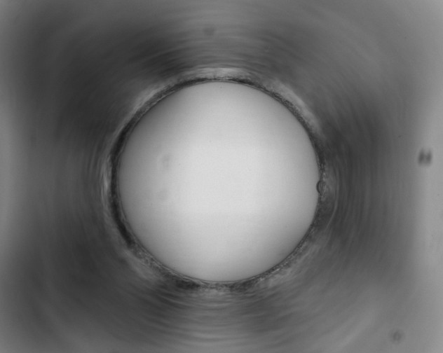 X0000103320110200809051008