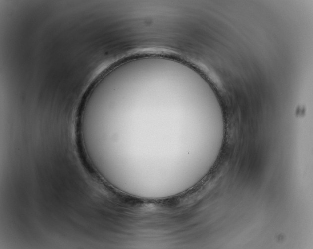 X0000103320111200809051008