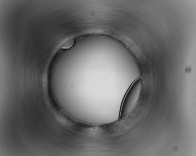 X0000103320112200809051008