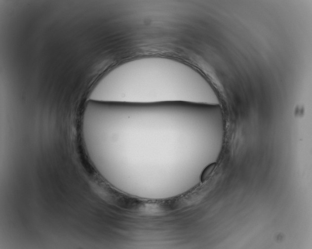 X0000103320114200809051008
