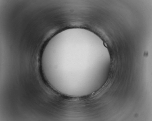 X0000103320116200809051008