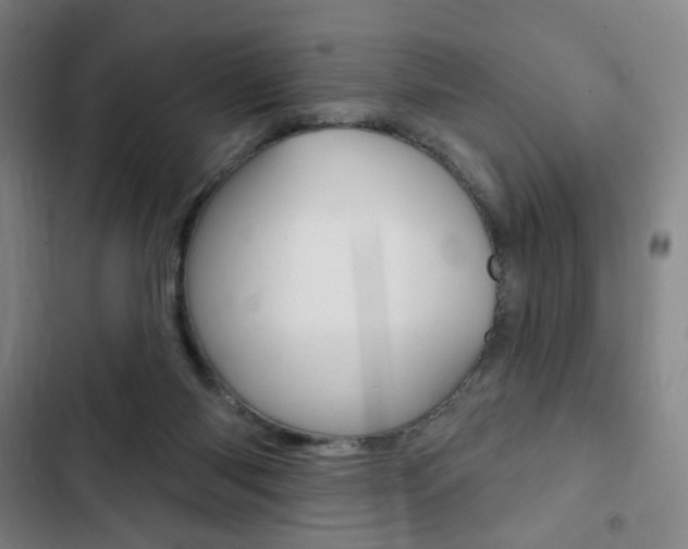 X0000103320118200809051008