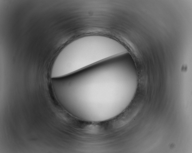 X0000103320119200809051008