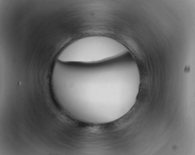 X0000103320120200809051008