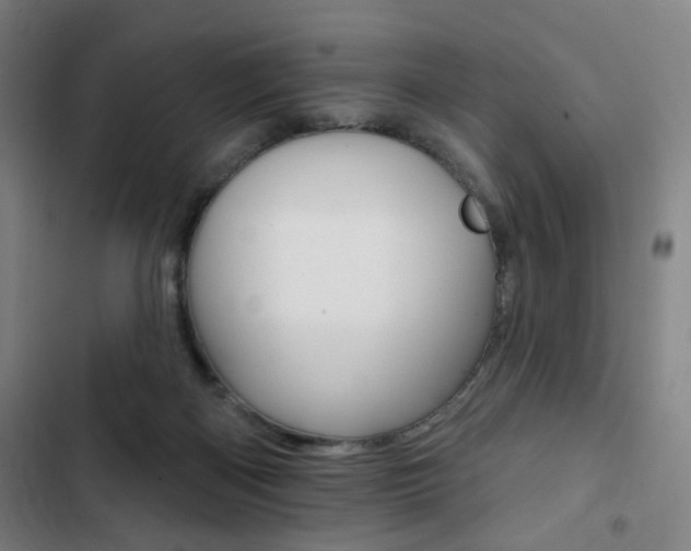 X0000103320122200809051008