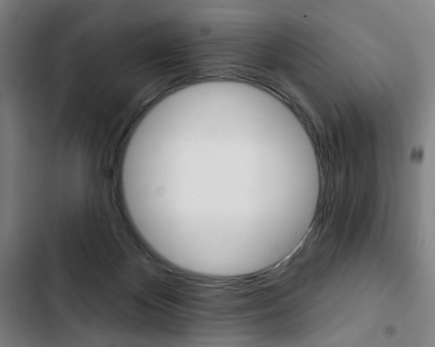 X0000103320124200809051008