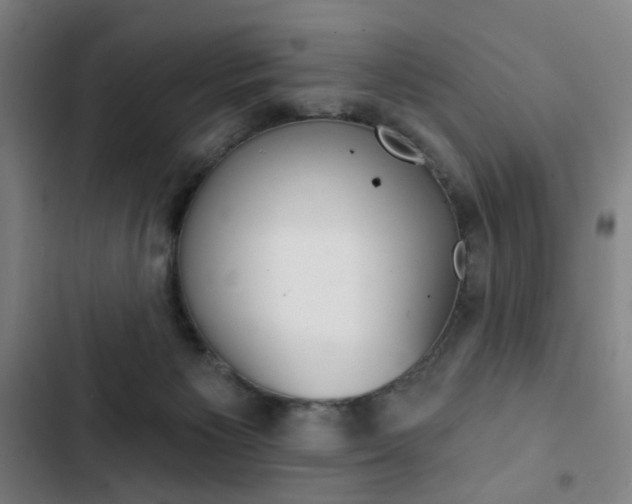 X0000103320125200809051008
