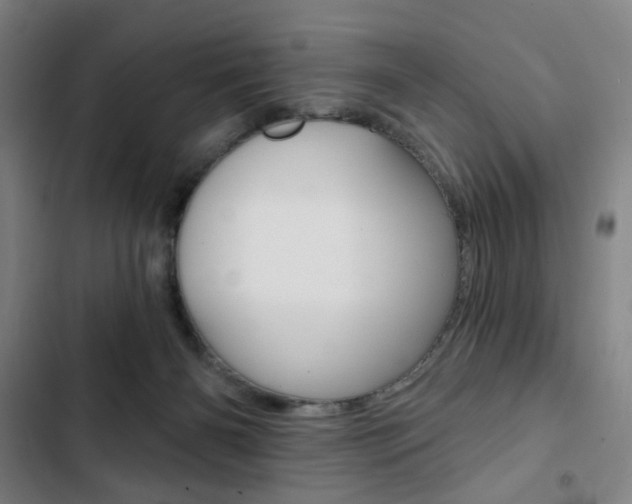 X0000103320126200809051008