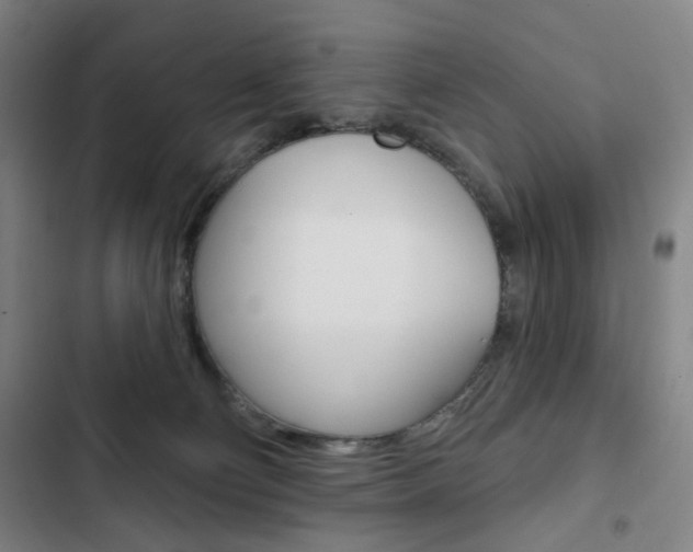 X0000103320130200809051008