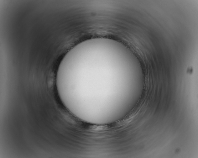 X0000103320135200809051008