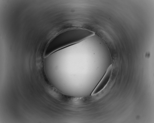 X0000103320136200809051008