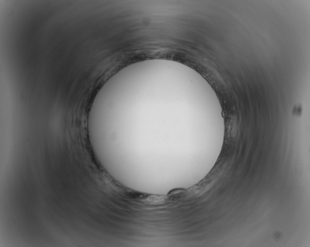 X0000103320138200809051008