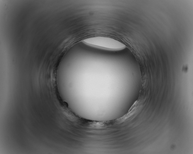X0000103320140200809051007