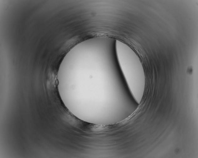 X0000103320142200809051007