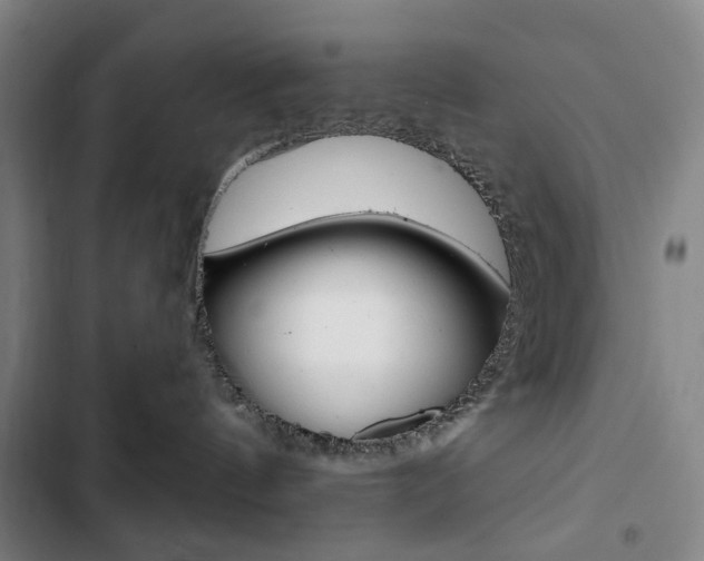X0000103320144200809051007