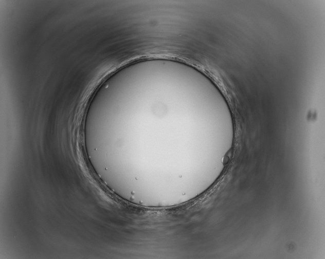 X0000103320145200809051007