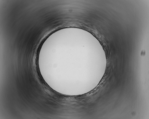X0000103320146200809051007
