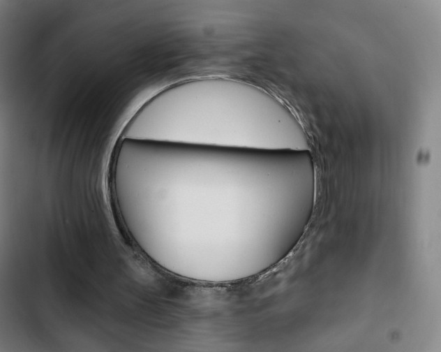 X0000103320147200809051007
