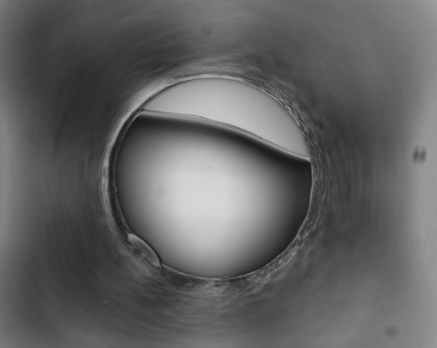 X0000103320148200809051007