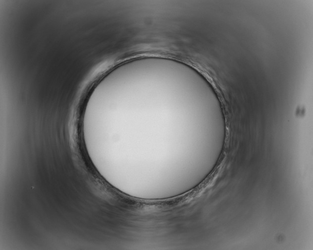 X0000103320149200809051007