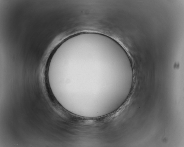 X0000103320151200809051007