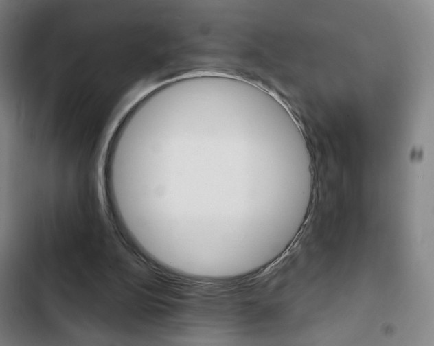 X0000103320152200809051007