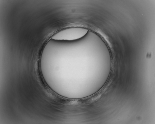 X0000103320153200809051007
